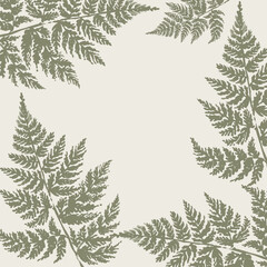  Floral background from nature ink painting beautiful fern leaves