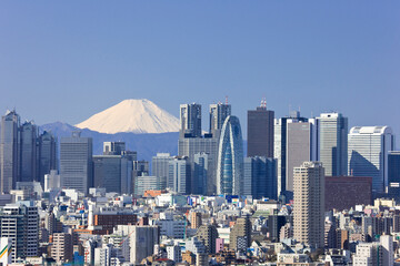 Naklejka premium 新宿高層ビル群と富士山