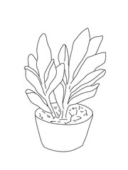 Decorative indoor plant succulent outline coloring page