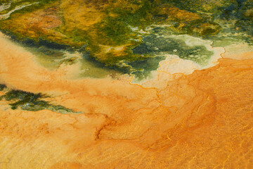 The texture of geyserite near thermal springs forms a colorful beautiful bright abstract natural background