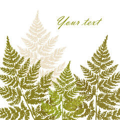 Vegetable background drawn in ink on paper fern leaf