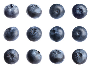 Set of fresh blueberries on white background