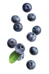 Fresh whole blueberries falling on white background