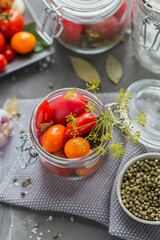 Preserving fresh and pickled tomatoes, seasonings and garlic on grey concrete table. Healthy fermented food. Home canned vegetables.