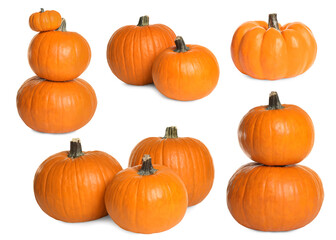 Set of fresh orange pumpkins on white background