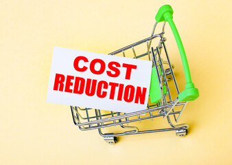 The card with the words COST REDUCTION is in the shopping cart. Marketing concept