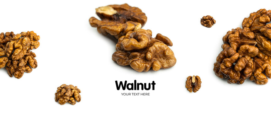  Walnut on white background. Long header banner format. Panorama website header banner. High quality photo