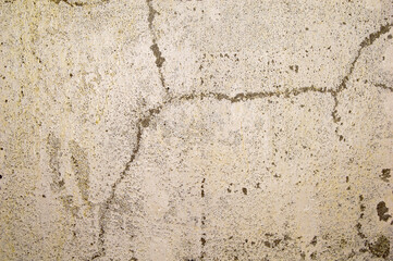 wall texture
