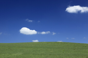 Obraz premium 草原と雲