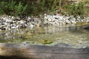 Poza de agua en el curso del rio