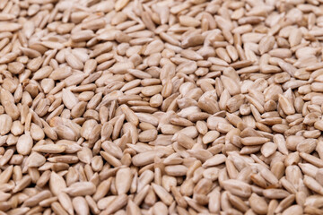 Roasted sunflower seeds background. Macro shot.