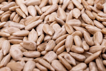 Roasted sunflower seeds background. Macro shot.