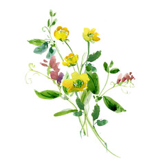Rustic Floral Wattercolor Arrangement, Wild Field Flowers Bouquet , Botanical Realistic Illustration 
