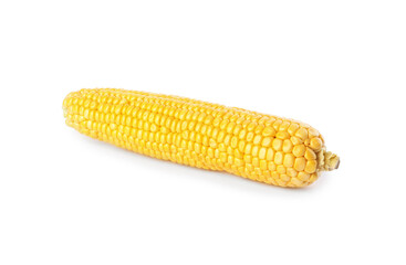Ripe raw corn cob isolated on white
