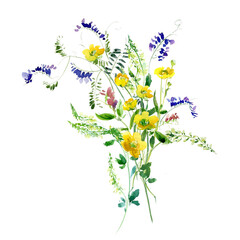 Buttercup, Sweet Peas Bouquet, Rustic Floral Watercolor Arrangement, Wild Field Flowers Herbal Illustration 