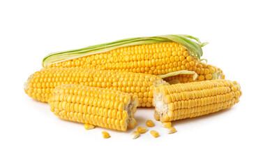 Ripe raw corn cobs on white background