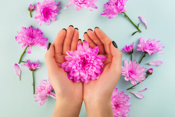 Woman holding pink flowers in hands on blue background. Spa, skin care, hygiene concept.