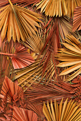 Creative Fall background made with dried leaves. Minimal natural Autumn background. Flay lay.