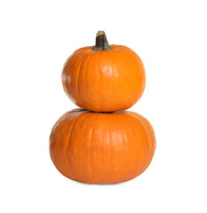 Fresh ripe pumpkins isolated on white. Organic plant