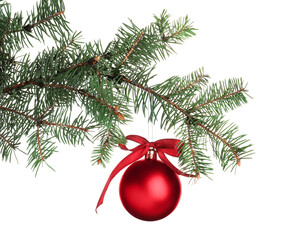 Obraz na płótnie Canvas Red shiny Christmas ball on fir tree branch against white background