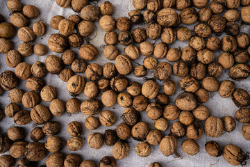 background of plenty of freshly picked walnuts