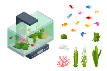 Isometric Goldfish in the Freshwater Aquarium and Set of Aquarium Underwater Elements, Fish, Corals, Green Planted Tropical, Stones Isolated on White Background.
