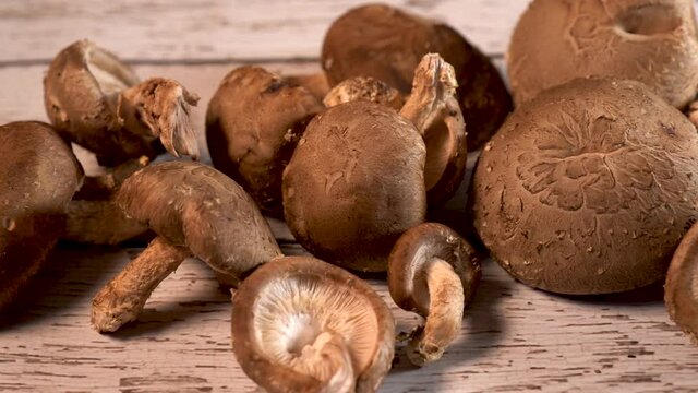Dolly to right extreme closeup of fresh shiitake mushrooms on a painted wood.