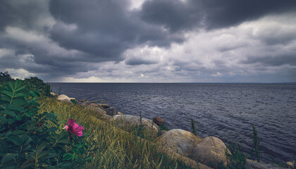 Wolkenbruch an der Ostsee im Sommer - Schilfrohre im Wasser - Melancholie am See in Polen -...