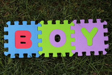 The word boy spelled in the grass.
