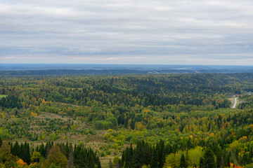 Fototapeta na wymiar Beautiful panoramic aerial drone view to Bialowieza Forest - one of the last