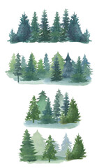 Watercolor forest on a white background, pine tree, group of trees, clipart