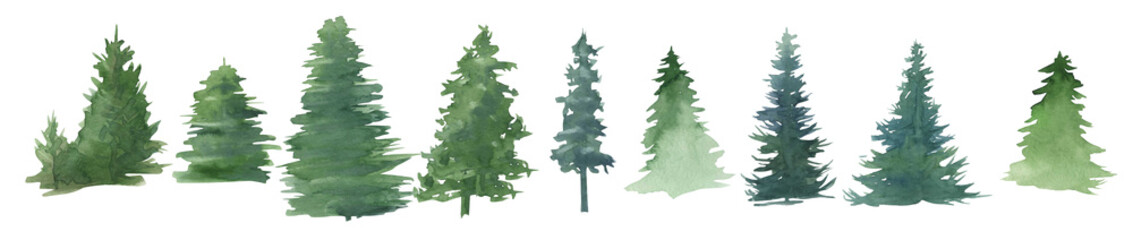 Watercolor trees on a white background, pine, group of trees, forest 