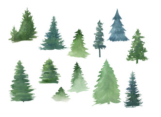Watercolor trees on a white background, pine, group of trees, forest clipart