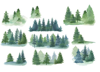 Watercolor forest on a white background, pine tree, group of trees, clipart