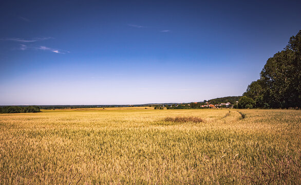 Felder, W&auml;lder und Wiesen vor einem blauen Himmel im Hochsommer in Polen. Panorama Poster Fotografie an einem friedlichen, menschenleeren Tag bei strahlendem Sonnenschein ohne Menschen.