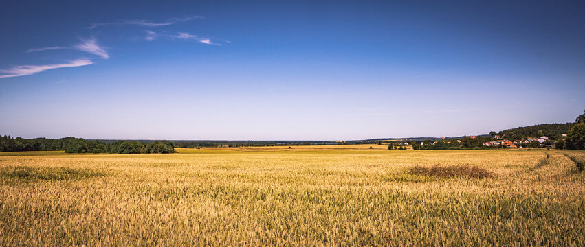 Felder, W&auml;lder und Wiesen vor einem blauen Himmel im Hochsommer in Polen. Panorama Poster Fotografie an einem friedlichen, menschenleeren Tag bei strahlendem Sonnenschein ohne Menschen.