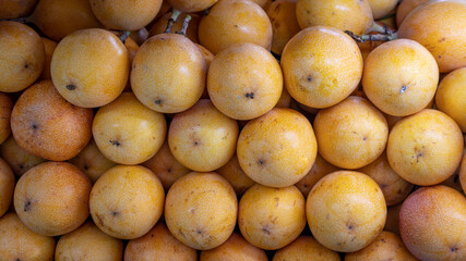 PASSIFLORA LIGULARIS OR HARVEST YELLOW GRANADILLA READY TO SELL EN TULUÁ VALLE DEL CAUCA COLOMBIA

