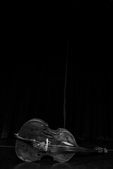Acoustic Bass © Pelow Media