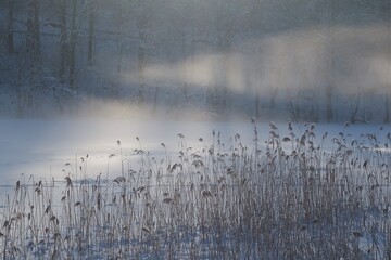 Magic fog on the lake illuminated by the morning sun