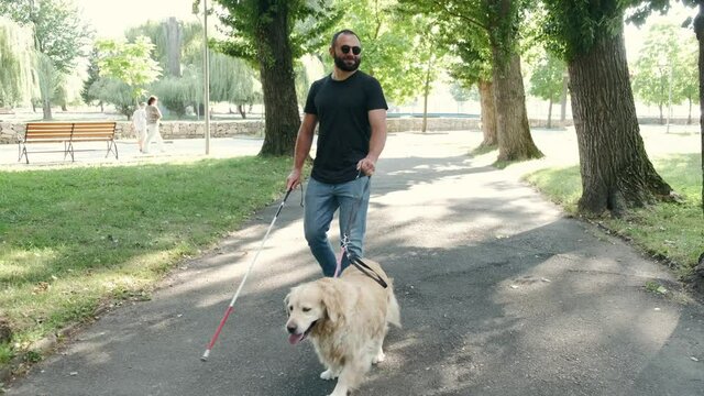 Blind attractive man walking with guide dog in park, good trained golden retriever.