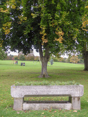 Autumn Colours in Lowndes Park, Chesham