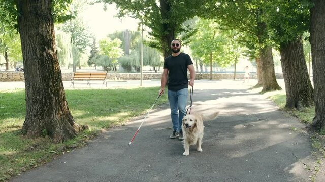 Blind attractive man walking with guide dog in park, good trained golden retriever.