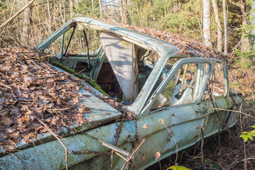 old car abandoned in the forest/abandoned old car littering the forest