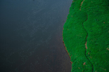 РЕчка и трава