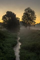 Fototapeta na wymiar Misty morning sunrise