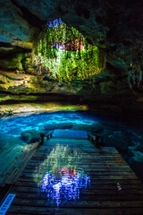 Devil's Den Caves in Florida 