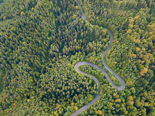 Aerial view of forest road in beautiful autumn at sunset. 
