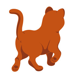 red cat rear view runs, kitten runs,   pet