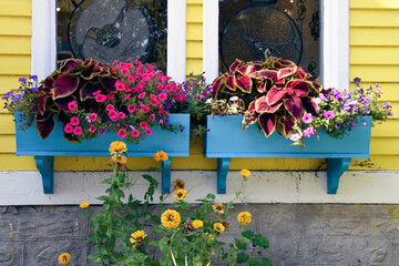 Blue planter boxes in a window.
