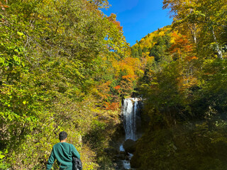 a beautiful view of a person looking at small waterfall in Shirakawa, Japan.